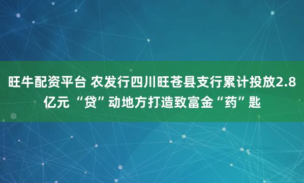旺牛配资平台 农发行四川旺苍县支行累计投放2.8亿元 “贷”动地方打造致富金“药”匙